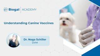 Understanding Dogs' Vaccines