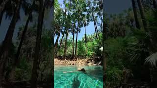 Mataranka Thermal Pools & Bitter Springs 🩵 #northernterritory #mataranka #swim #travellingaustralia