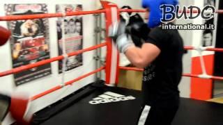 Sparring alla Boxe Island - Budo International