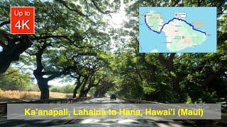 Road to Hana, Hawai'i - almost 5 hours