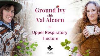 Ground Ivy with Val Alcorn + Upper Respiratory Tincture