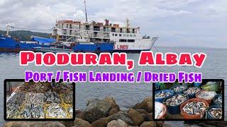 Pioduran, Albay - Port / Fish Landing / Dried Fish