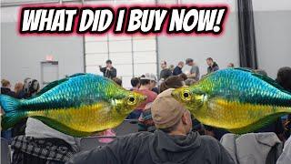 A Great Fish Auction, a Surprise Fish Store Visit, and More New Fish