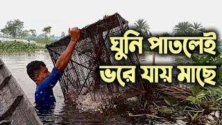 ডাকাতিয়া বিলে মাছ ধরার দৃশ্য | ঘুনি দিয়ে মাছ ধরা | Traditional Fishing Viodeo | Ghuni Fishing