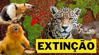 OS 5 ANIMAIS EM EXTINÇÃO NO BRASIL – ANIMAIS SELVAGENS BRASILEIROS EM EXTINÇÃO