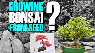 Revealed: The TRUTH about growing bonsai from seeds