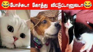  இன்னைக்கு நான் leave #viral #trending #comedy #funnyanimalvideos