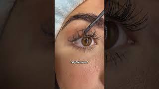LASH BY MAYA.romania #serum #makeup #beauty #romanian #mascara #lashes #skincare #beforeandafter