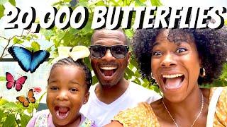 BUTTERFLY WORLD FLORIDA - 2022 REVIEW