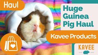 Huge Kavee Guinea Pig Haul!