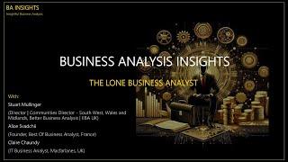 The Lone Business Analyst