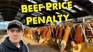 Strong Beef Price But Our Cattle Don’t Make The Grade  | Water Blow Out