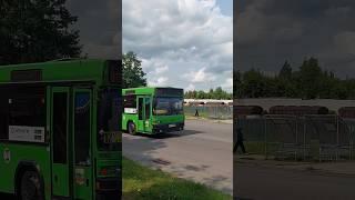 МАЗ-105Респект водителю! #maz #automobile #liaz
