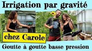 Le goutte à goutte basse pression de Carole. Arrosage par gravité !