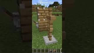 Minecraft WTF Moment, that will surprise you |  Short 5