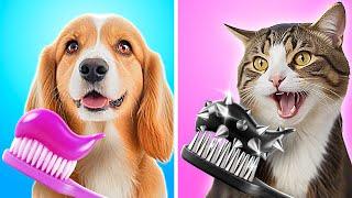 Gadgets pour Animaux Pas Cher vs Cher  Bon Chien Riche vs Mauvais Chat Pauvre ! Par 123 GO!