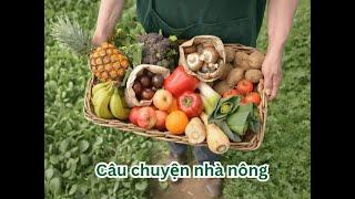 Câu chuyện nhà nông. Anh Nguyễn Tuấn Du - con đường trở thành giám đốc công ty sản xuất nông sản.