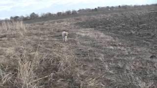 First trip to Orchard(2/10)
