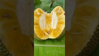 Amazing Jackfruit #jackfruit