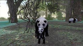 Wild Panda Family Jungle Simulator By Gluten Free Games Ultimate Jungle Simulator