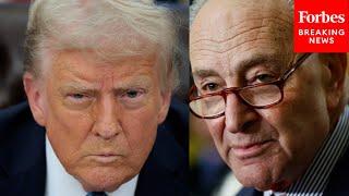 Chuck Schumer Announces Whistleblower Portal To 'Fill The Void' Created By Trump Firing Watchdogs