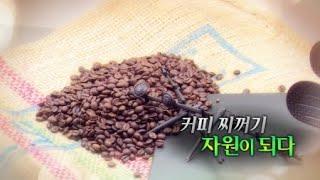 커피 찌꺼기, 자원이 되다 / YTN 사이언스