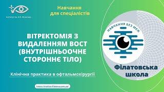 Вітректомія з видаленням ВОСТ (внутрішньоочне стороннє тіло)