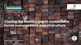 Closing the finance gap in sustainable forest management and silviculture