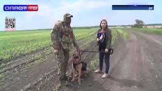 •Боец Ярый и его четырёхлапый напарник– пёс Бандит️