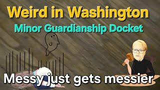 Weird Washington - Minor Guardianship - Judge Haan