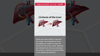 Improvement of Liver Health