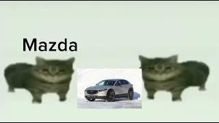 This is Mazda meme cat