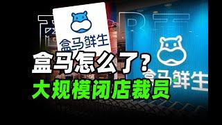 富二代盒马 “大败局”：疯狂扩张、拳打山姆、品质危机、决策混乱，含着金汤匙的阿里嫡系为何陷入品质+战略 “双泥沼”？【破产姐妹】