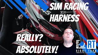 Sim Racing Harness! Really???