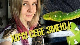 Беда в семье - хочу змею? Что делать родителям и куда смотрят нормальные люди?