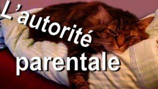 L'AUTORITÉ PARENTALE - PAROLE DE CHAT