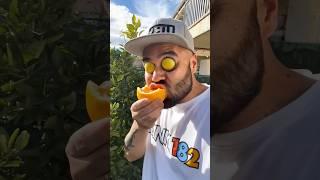 Want to try my oranges? #funny #comedy #shorts #123