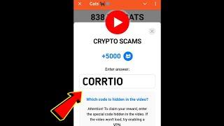 CRYPTO SCAMS Cats Code | Crypto Scams cats video code today