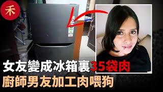 女友失蹤，廚師男友每天喂流浪狗吃肉，警方在冰箱發現35個沾血袋子#案件 #crime #crimestory #懸疑