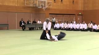 Czech Republic - 11th International Aikido Federation Congress in Tokyo - Demonstrations