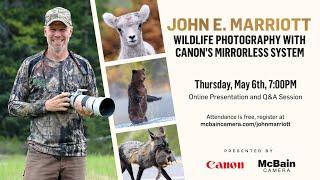 Wildlife Photography with Canon's Mirrorless System