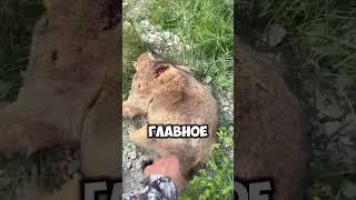 Охота на сурка с карабином | Чудесное попадание #nighthunter #тепловизор #тепловизоры #охота