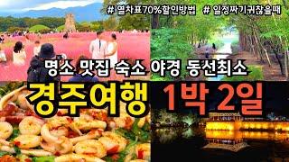 [경주여행] 동선낭비 없는 1박2일 가을 여행코스(KTX 70%할인방법, 지도) /현지인맛집, 카페, 숙소, 야경, 핑크뮬리, 단풍/ 국내여행 솔거미술관 황리단길