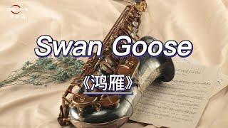 【Relaxing Instrumental Music】#saxophonejazz2022|#Romantico【《鸿雁》萨克斯风 演奏Swan Goose】#saxophonesolo