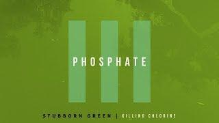 Phosphate - Why is my pool always GREEN?