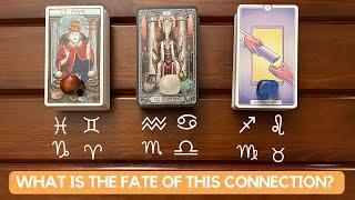 What is the Fate of this Connection? ️‍| Timeless Reading