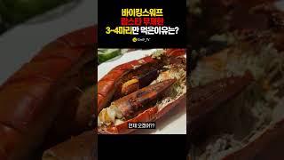 랍스타 무한 바이킹스 3~4마리만 먹은 이유는?