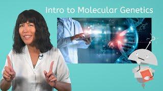 Intro to Molecular Genetics - Biology for Teens!