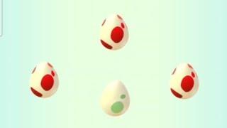 9 Eggs Hatching (Wait!? How many Salandits hatched?) - 06 Oct 2023 #pokemongo #egghatch #redegg