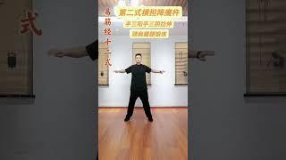 易筋经十二式#颈肩腰腿锻炼#一招半式学养生#古法锻炼#健康养生